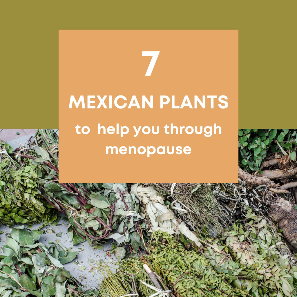 Mother Nature Guide: 7 Local Mexican Plants to help you through Menopause