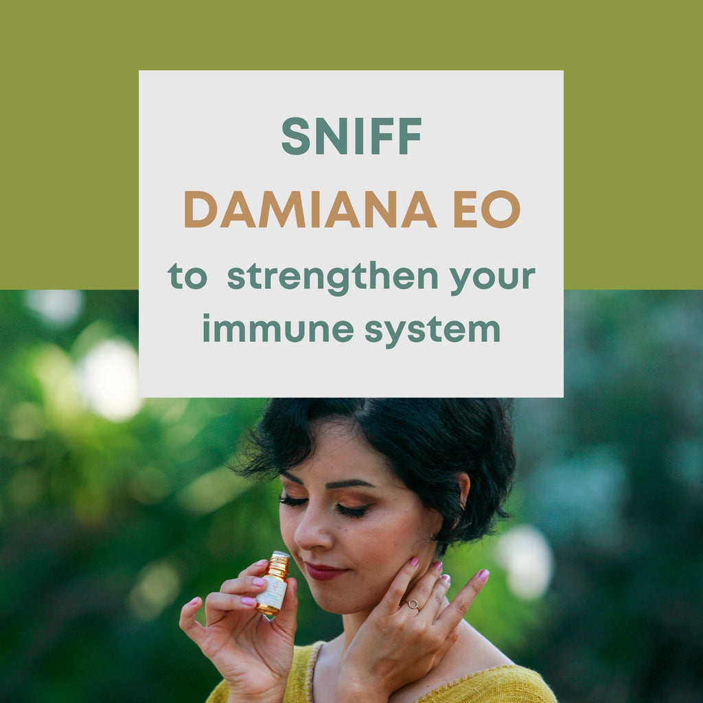 Why sniffing EO helps strengthen your immune system?