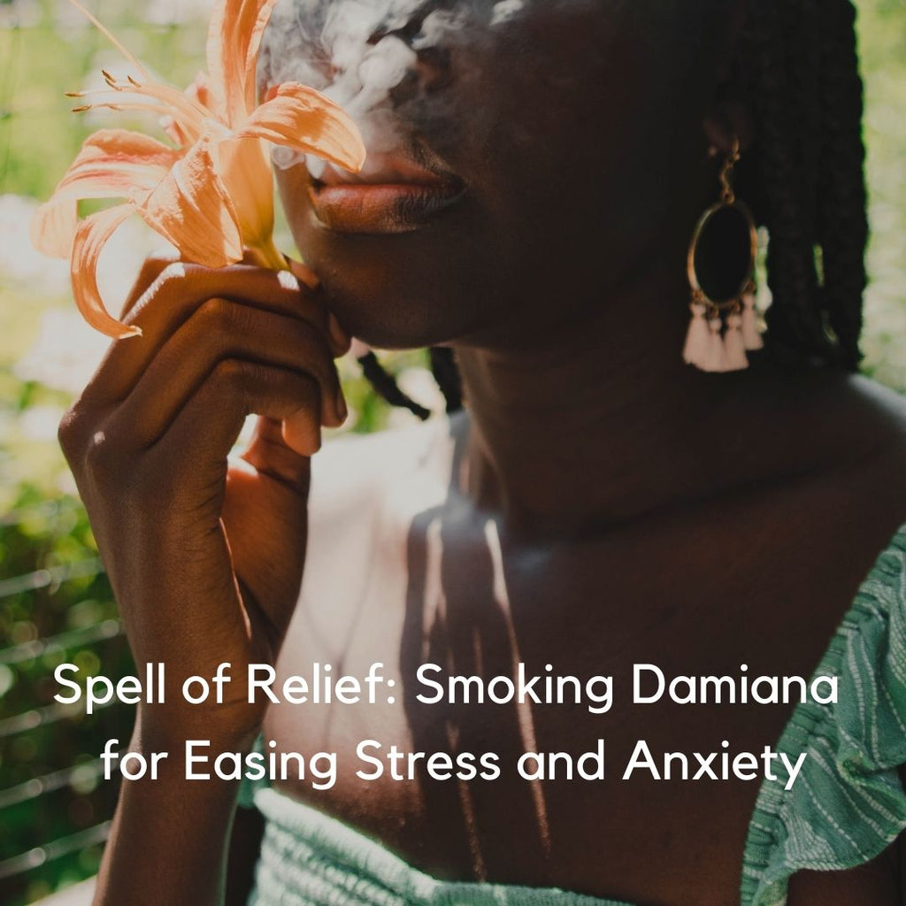 Spell of Relief: Smoking Damiana for Easing Stress and Anxiety